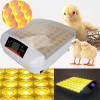 Инкубатор для яиц автоматический HHD YZ-56S Egg Incubator